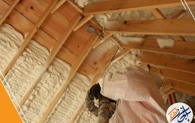 وزاره التربية والتعليم مخرج 5