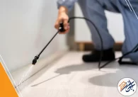 شركة مكافحة حشرات بالخرج