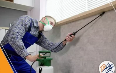 جامعه الاميرة نوره