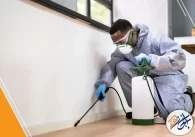 شركة مكافحة حشرات بالخرج