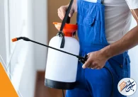 شركة مكافحة حشرات بالخرج