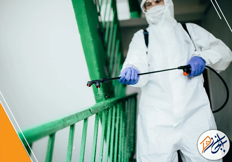 شركة مكافحة حشرات بالخرج